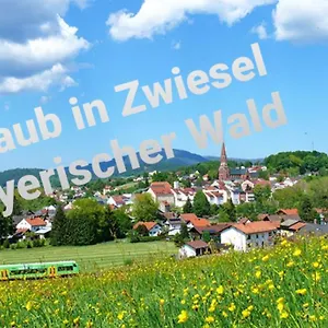 Ferienwohnung Rachel Im Bayerischen Wald Apartment