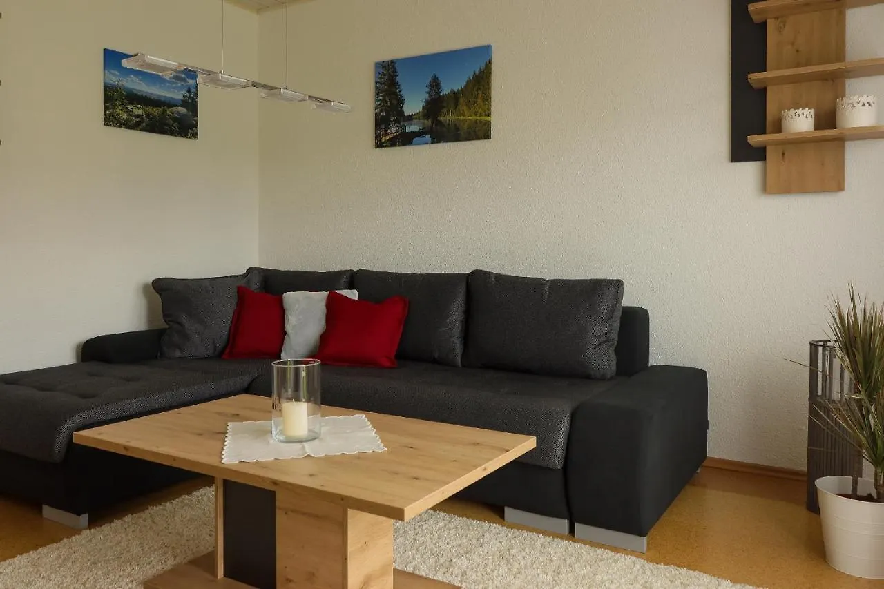 Buchen Blick - Ruhige moderne Ferienwohnung 82qm. Fichtelberg 0*,  Deutschland